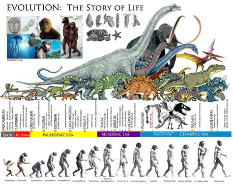 The Power of Imagination: How Tracka Dinosaurs Transport Kids to Another World.